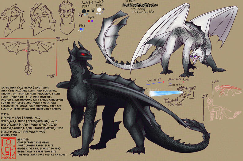 Saftd Rikr Info Sheet