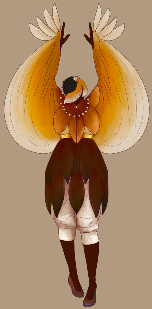 Tyto collection