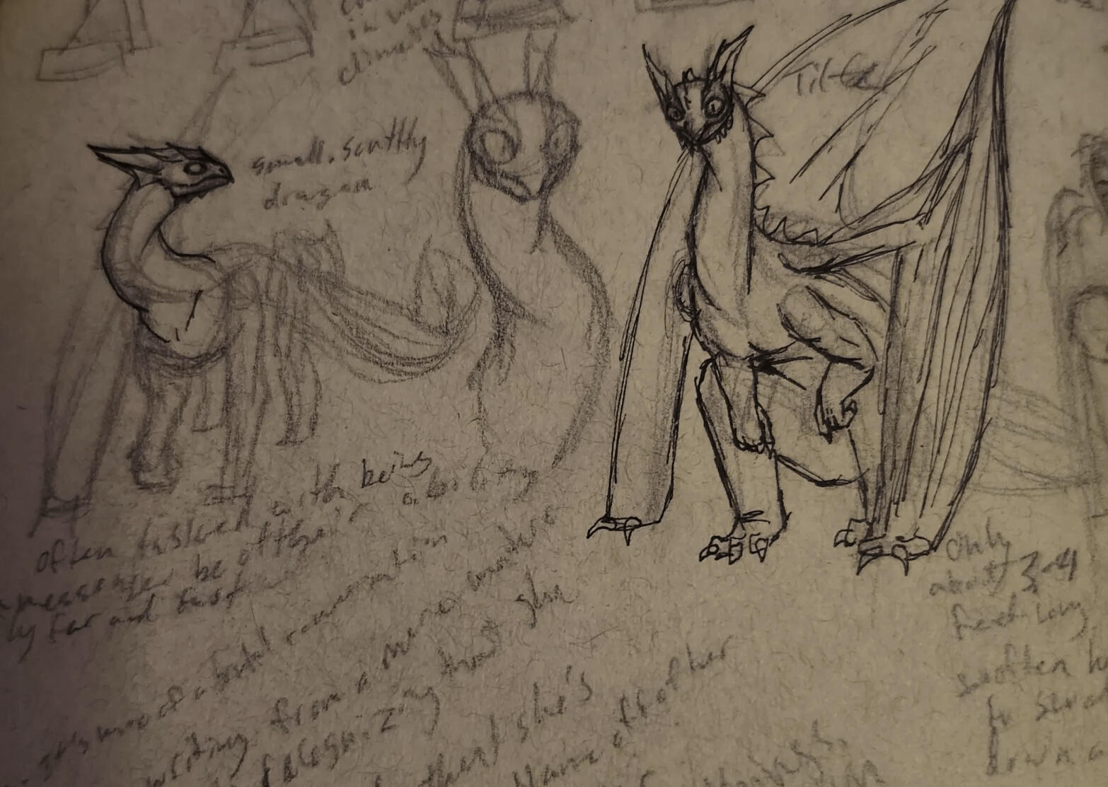 Baeirth Sketches
