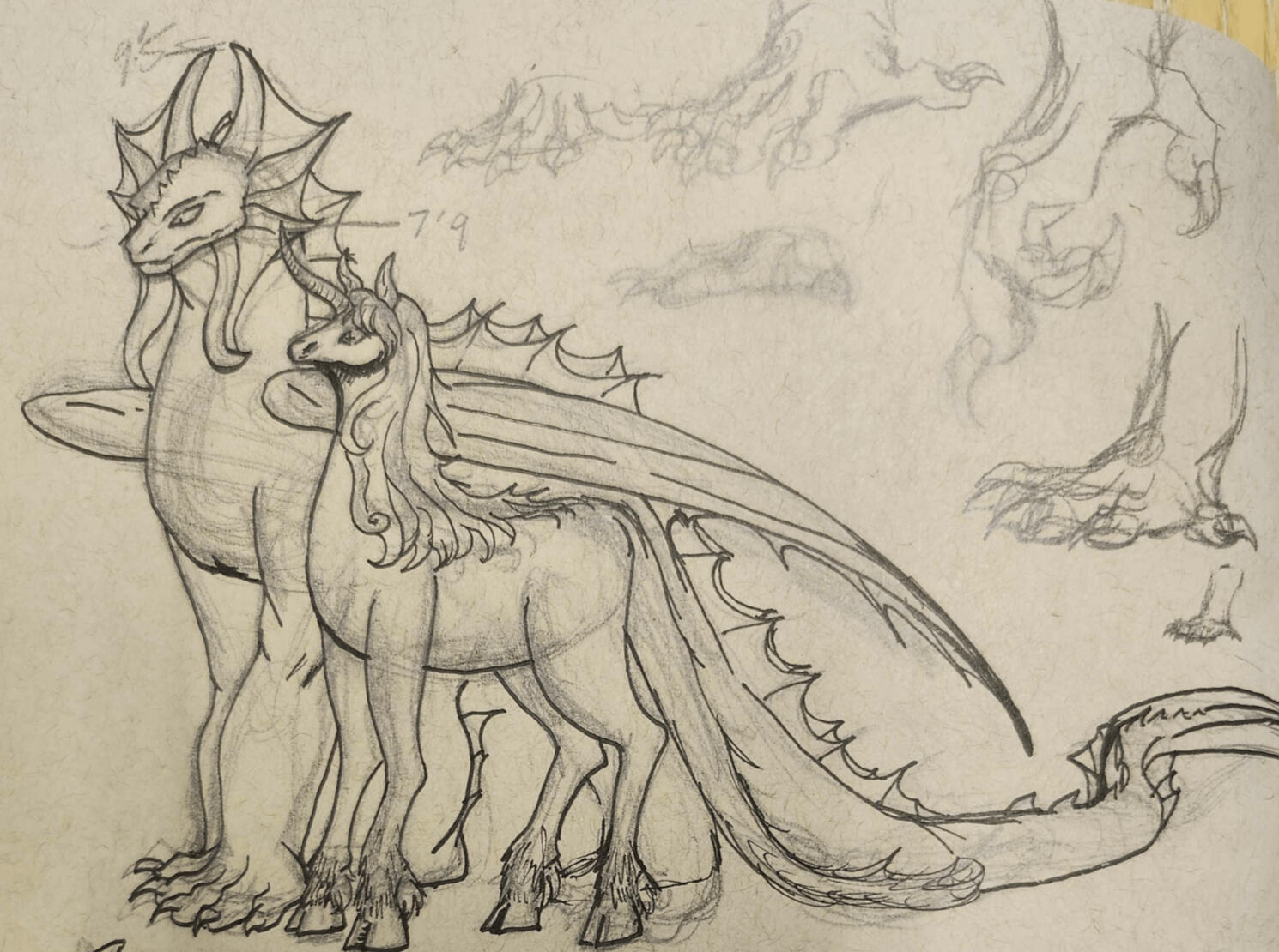 Baeirth Sketches